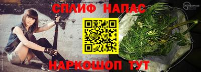 альфа пвп Заводоуковск
