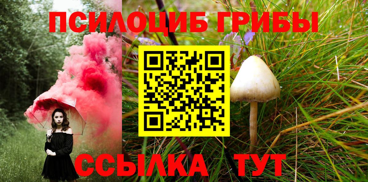 Псилоцибиновые грибы Cubensis Кумертау