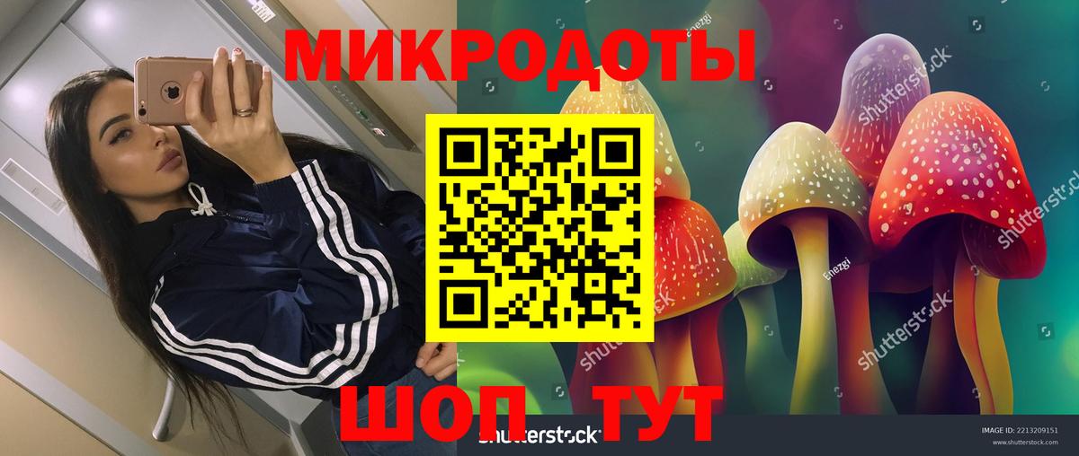 Псилоцибиновые грибы Psilocybe  Вход с VPN  Кумертау 